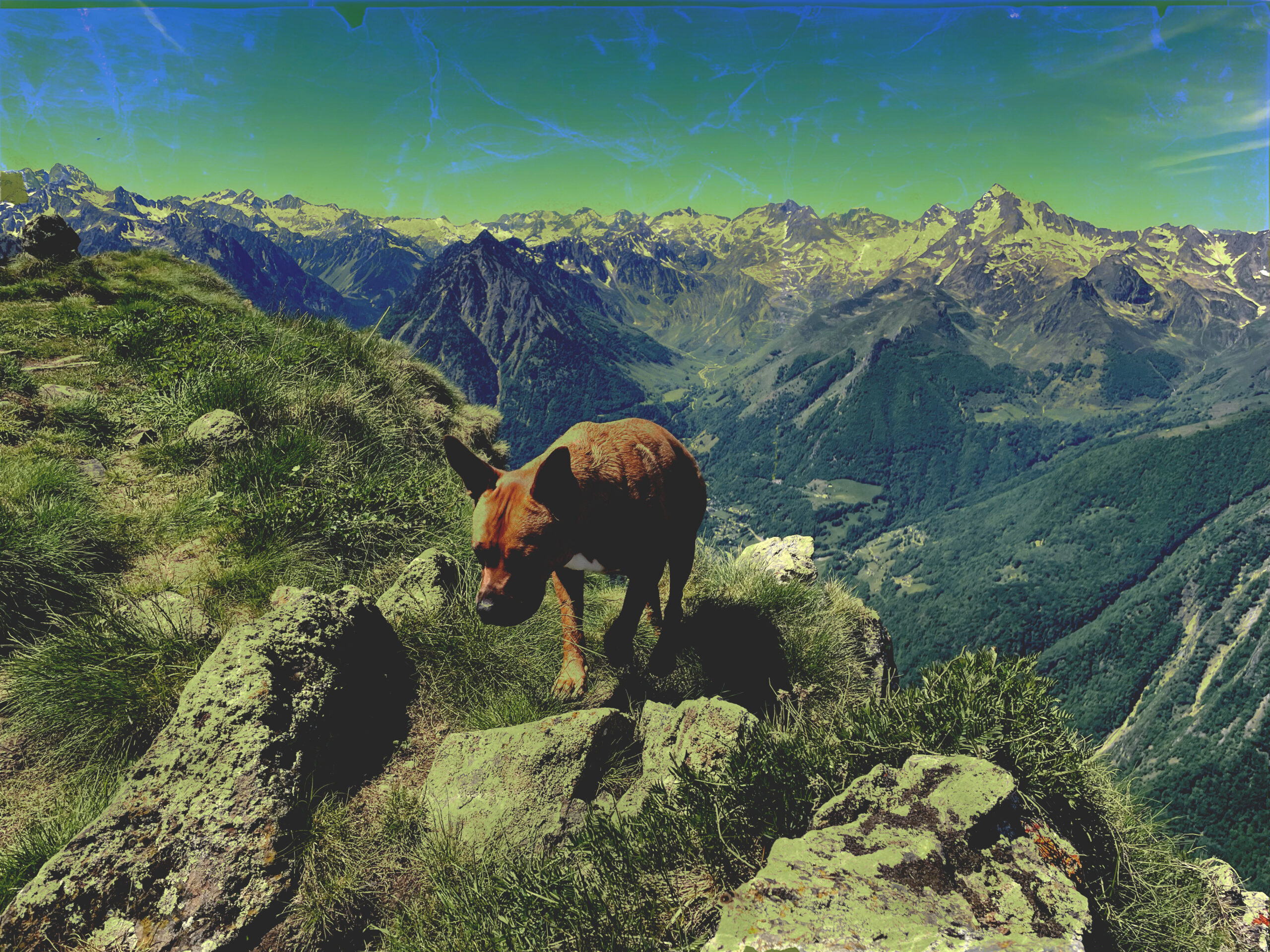 Lire la suite à propos de l’article Pyrénéegration 3.14-3