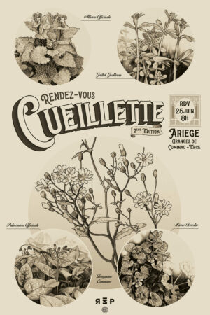Rendez-vous Cueillette II