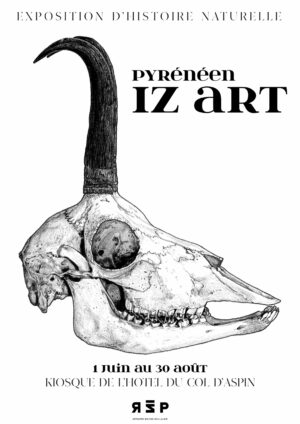Affiches